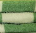 Beach Towel CABANA Green
